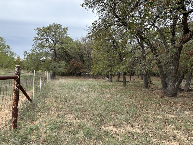 Property in Wise County, TX