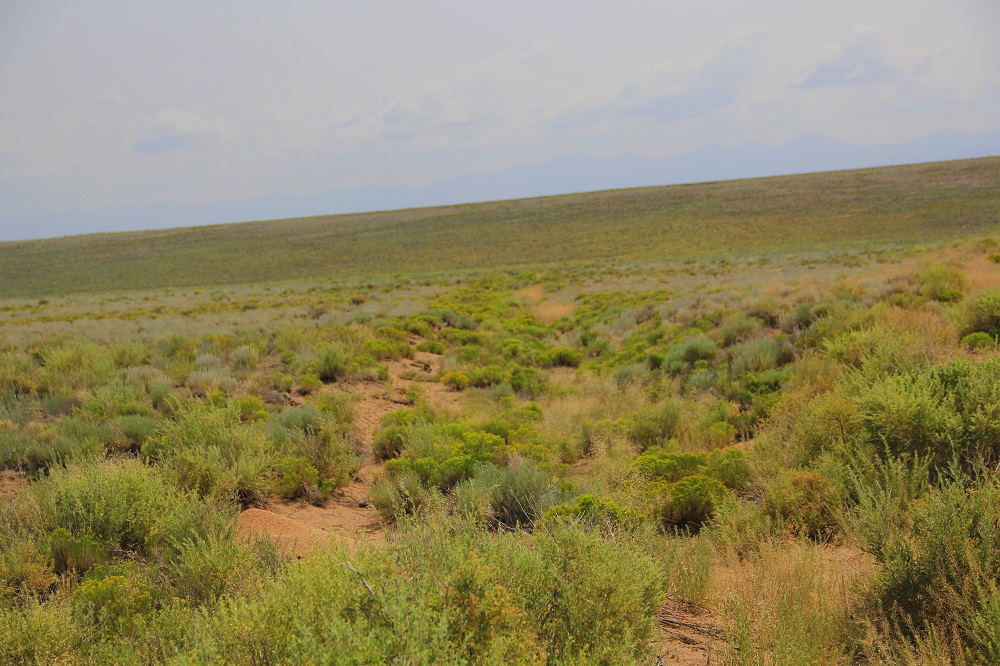 Costilla County undeveloped land